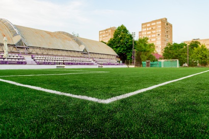 Arena Viola